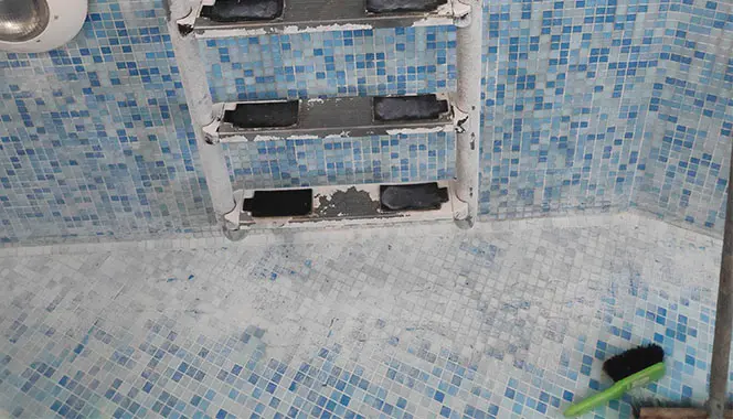 Домашний бассейн до профессиональной чистки и дезинфекции